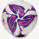 Мяч футбольный JÖGEL Triumph Elite WSL №5
